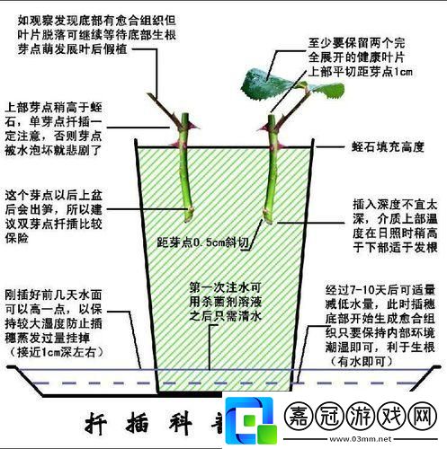 "72歐式插法"狂潮來(lái)襲-注意事項(xiàng)笑掉大牙！