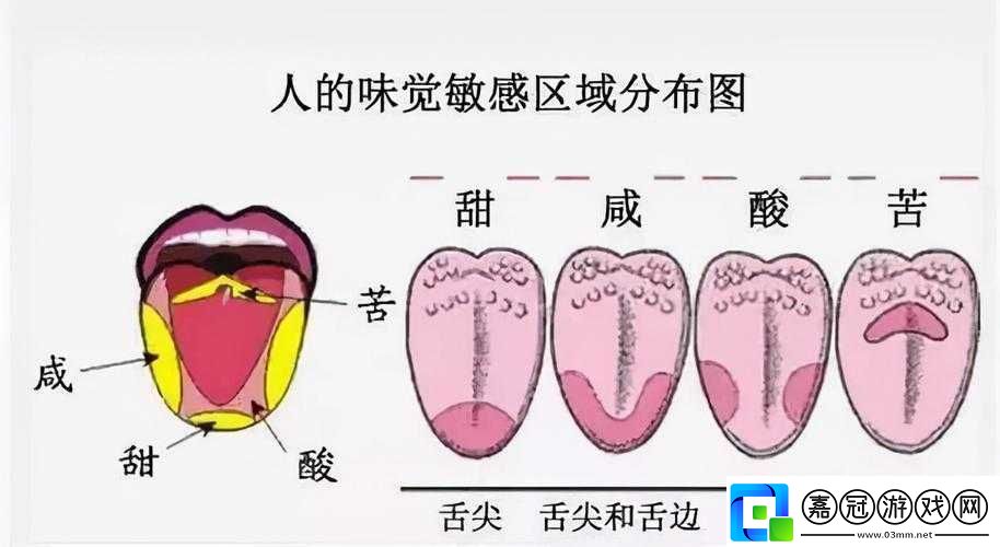 晚上睡覺下面一直硬的原因：醫(yī)學與生理解析
