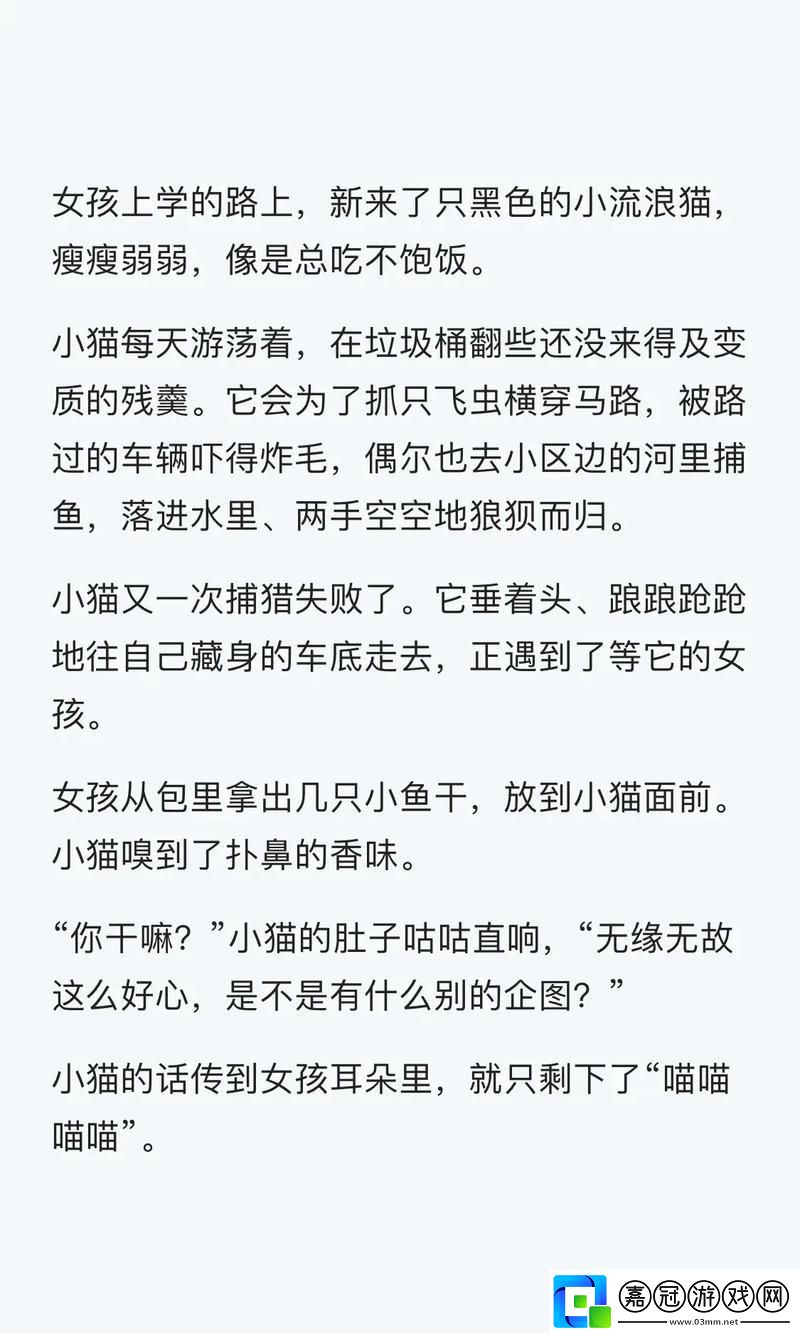 夢(mèng)話連篇：燉肉幻境夜語(yǔ)趣談