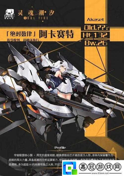 靈魂潮汐阿卡賽特技能強度解析：探索深度與能量展現的全面介紹