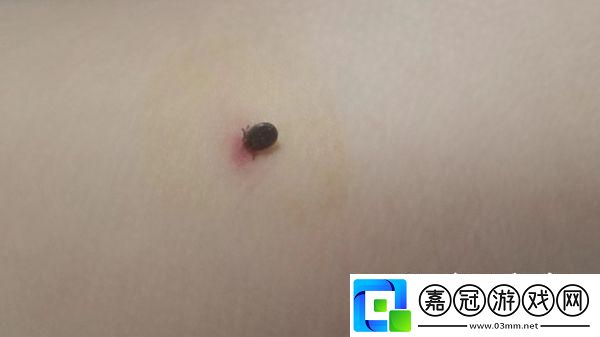 “潮蟲”來襲！衣底藏“龍”引領風騷