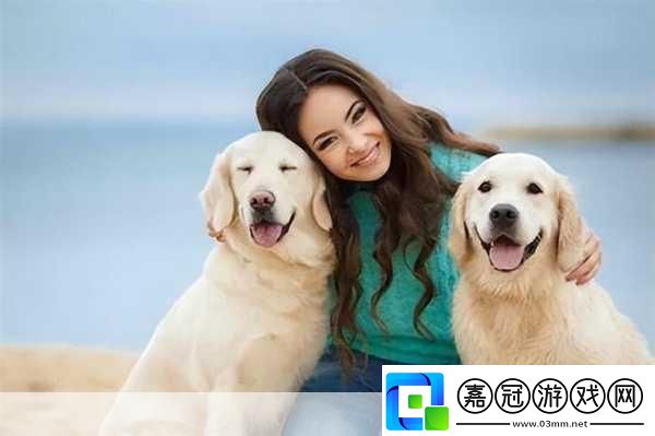 狗狗配人怎么配：1.狗狗與主人：完美搭配的秘密揭示