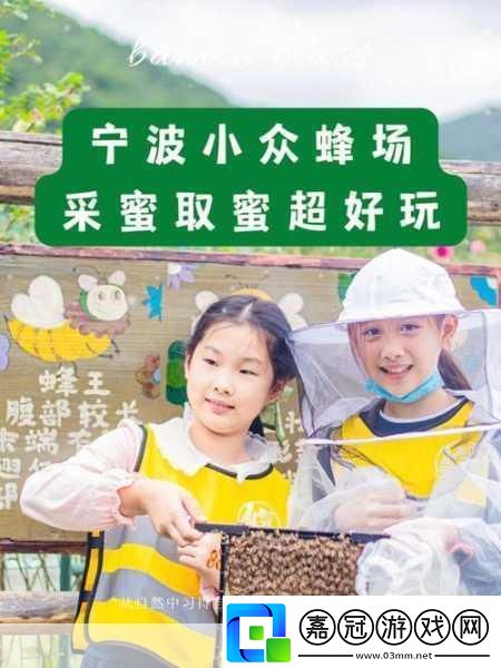 采蜜1v.1h方橙采意：1.探索蜜蜂的奇妙世界與采蜜技巧