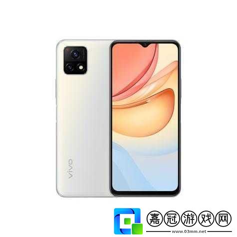 成色好的y31s標準版官