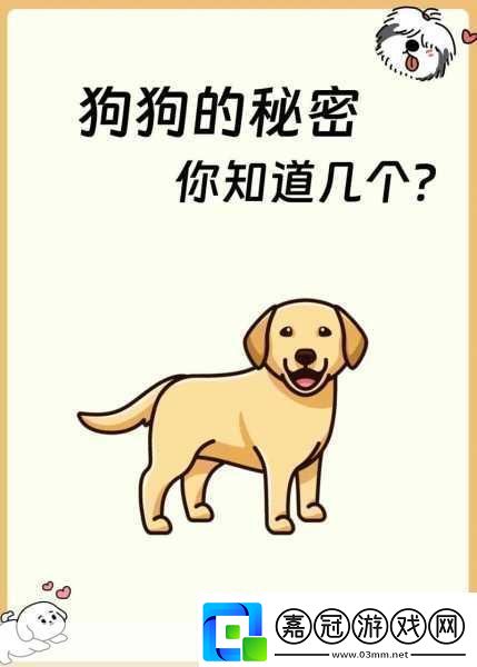 洛克王國(guó)靈猴石獲取全攻略解鎖稀有寵物的秘密