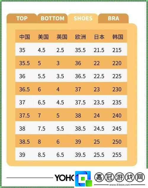 歐亞尺碼專線歐洲-B1B1：探索其獨特魅力與廣泛應用