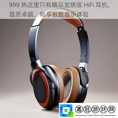 999熱這里只有精品發燒級HiFi耳機音質卓越暢享極致音樂體驗