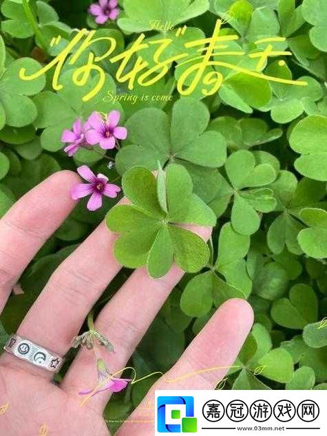 成品人與精品人在四葉草區別上的探討