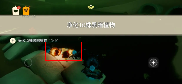 光遇8.21任務怎么做