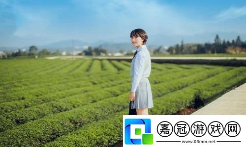 國產精華一曲二曲三曲聽眾表態：打造情感共鳴讓文化內涵融入生活