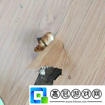 洞被弄大了過幾天能變小嗎網友：這真是個有意思的問題！