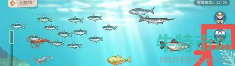 奧比島手游高級魚餌怎么獲得