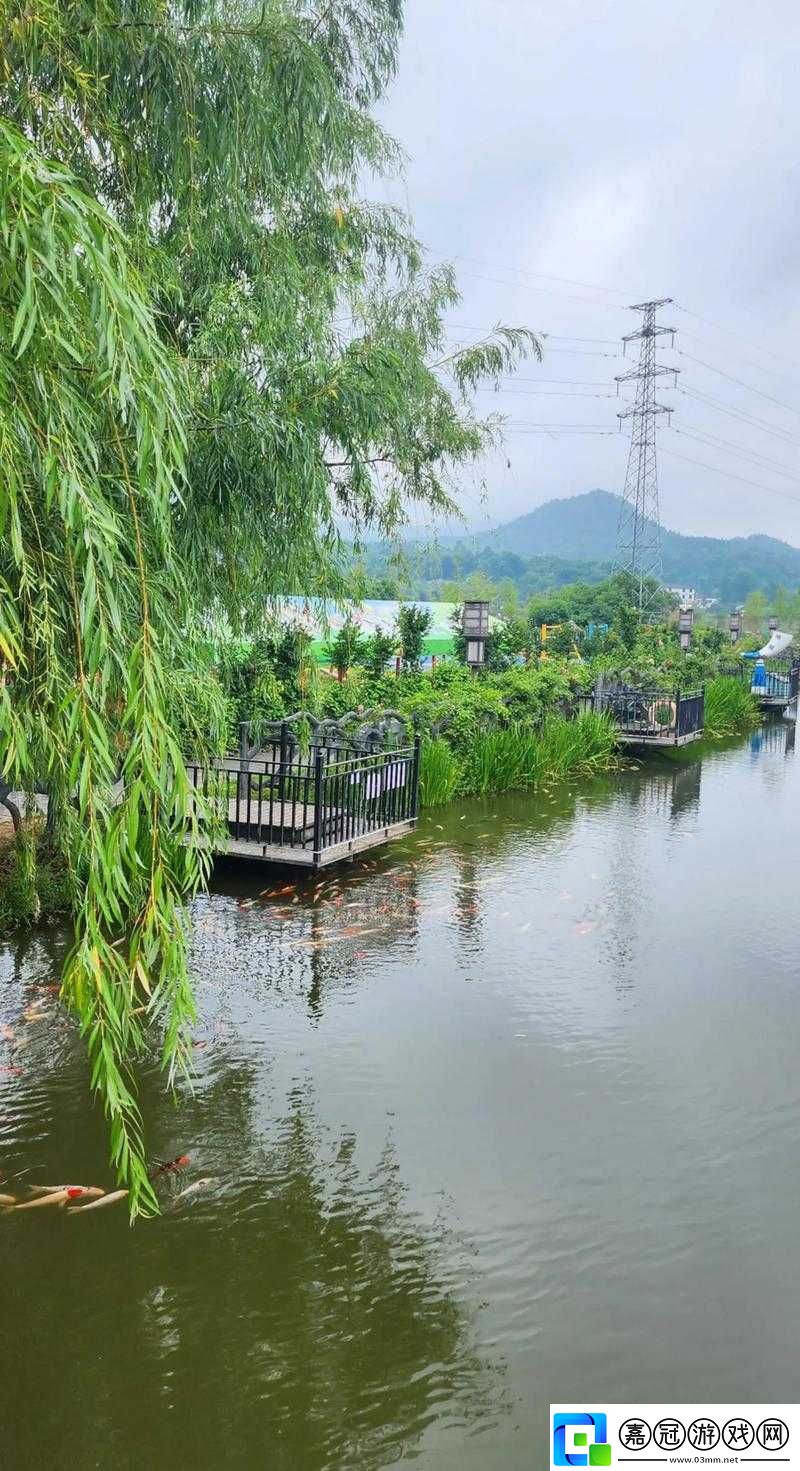 老鏢客城中村最火的一句：人生就像一場旅行-不在乎目的地-在乎的是沿途的風景和看風景的心情