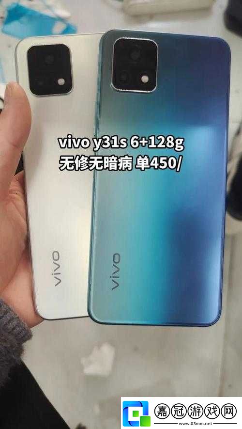 高質量一級成色好的-y31s-標準版評測：深度解析其卓越性能與優勢