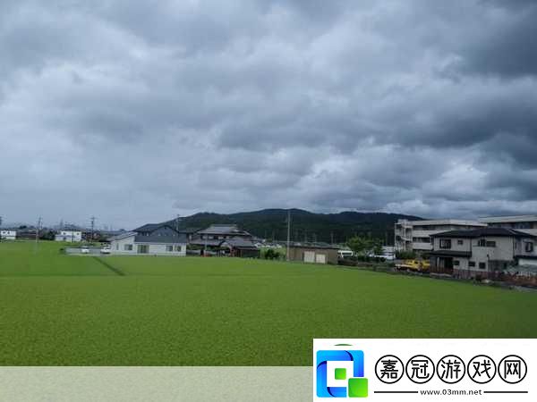 放開(kāi)那貂蟬-卡牌對(duì)戰(zhàn)新紀(jì)元-策略與激情的碰撞