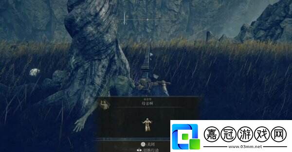 艾爾登法環(huán)紅種子護(hù)符+1在哪獲得DLC種子護(hù)符+1位置介紹