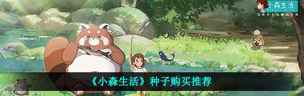 小森生活買什么種子好-種子購買推薦