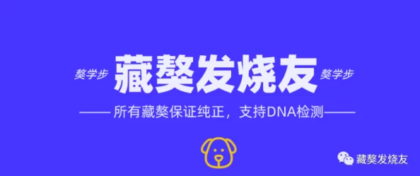 國(guó)產(chǎn)羞羞站內(nèi)容豐富多樣用戶(hù)體驗(yàn)不錯(cuò)但希望能增加更多互動(dòng)功能