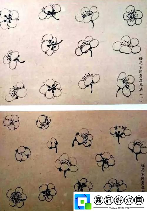 梅花開幾度老張周梅細數歲月的情愫與期待