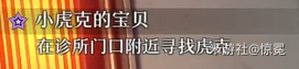 使用查寶尋找隱藏的寶貝
