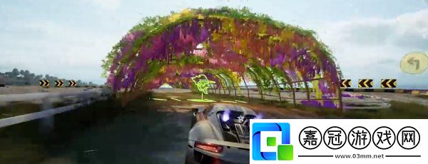 極品飛車集結繽紛花海怎么跑圖