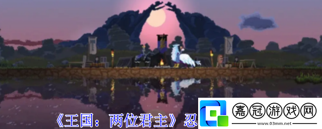 王國(guó)：兩位君主忍者使用方法-攻略助你技能突破