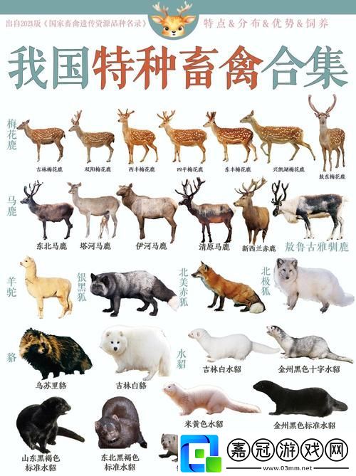 探索人狗畜禽COMPANYLIMITED的多元化經(jīng)營模式