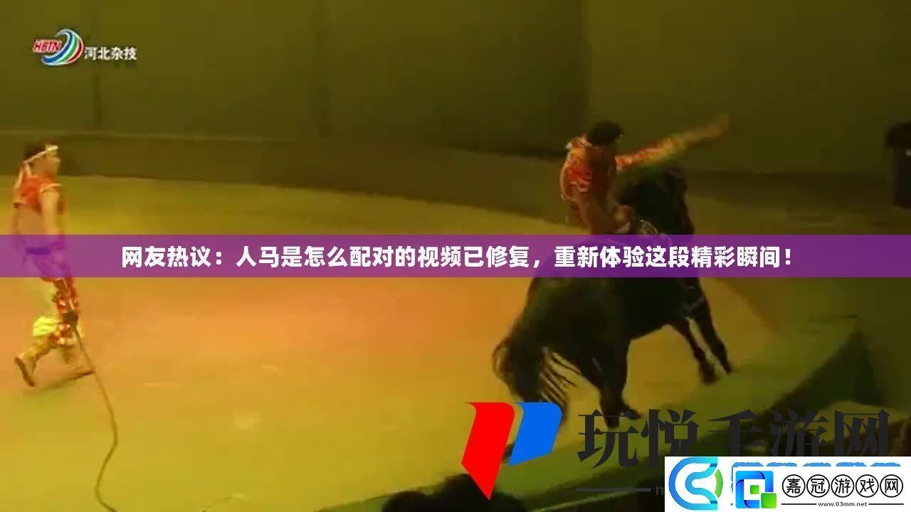 友熱議：人馬是怎么配對(duì)的視頻已修復(fù)重新體驗(yàn)這段精彩瞬間！