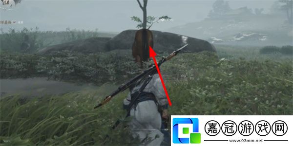 燕云十六聲坐騎應(yīng)該怎么獲得