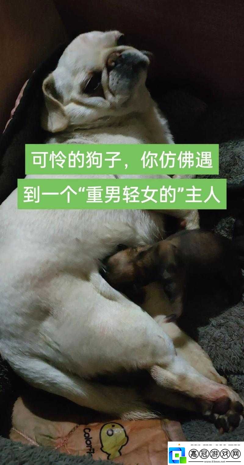 我的狗老公和拉婆婆一起的奇妙故事