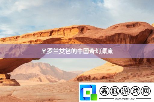 圣羅蘭女包的中國(guó)奇幻漂流