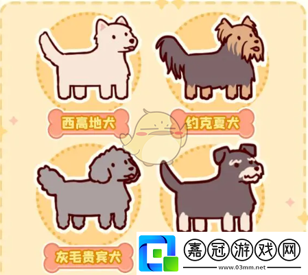 我的休閑時(shí)光完成萌寵樂園課程獎(jiǎng)勵(lì)有什么