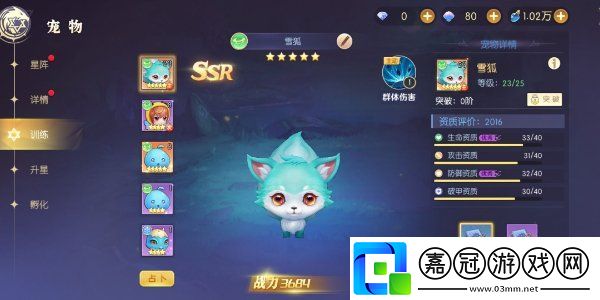 天啟圣源寵物搭配攻略