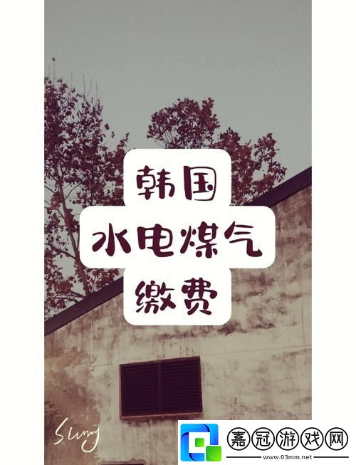 好看的韓國三色電費-觀眾：-“這是一場藝術(shù)與生活的交鋒！”共享技巧