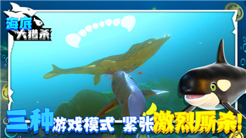 泰拉瑞亞天頂劍做法詳解及其在游戲中的重要作用和實用性分析