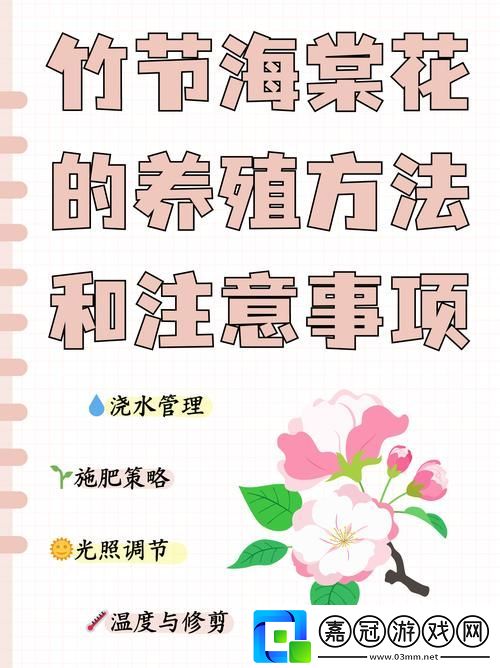 在“被系統澆灌的日常”中尋求自我成長共享技巧