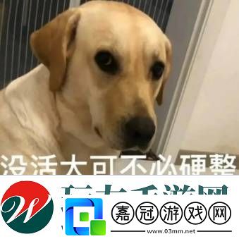 極品全靠爆回城就換錢(qián)