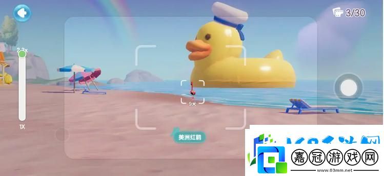 心動(dòng)小鎮(zhèn)鳥(niǎo)類(lèi)觀察圖鑒大全
