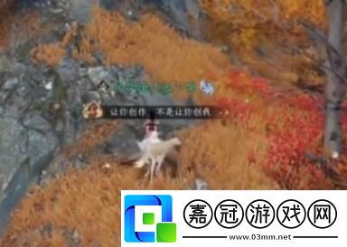 天地且徜徉任務通關攻略寵物技能搭配與戰斗風格
