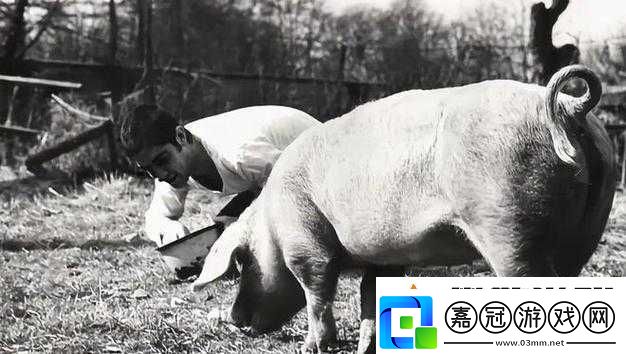 人-OR-豬-OR-狗最終還是被發(fā)現(xiàn)了：一場追蹤與反追蹤的較量