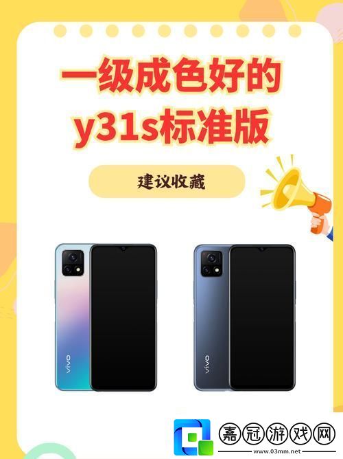 探秘y31成色好的s31正品的魅力與價值