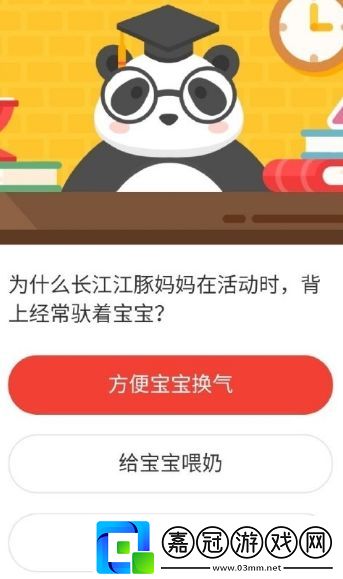 為什么長江江豚媽媽在活動時