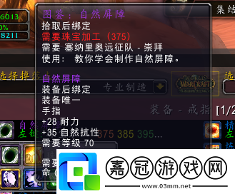 自然抗冰火抗一覽魔獸世界TBC懷舊服P2抗性裝匯總