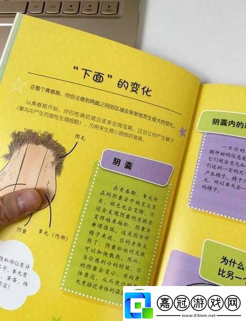 如何欺負女生的小花園和大白兔