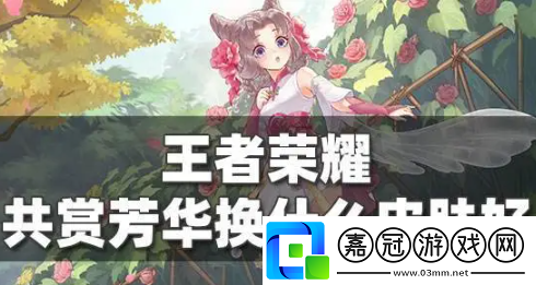 王者榮耀共賞芳華可以換幾次皮膚王者榮耀共賞芳華最好的皮膚是哪款