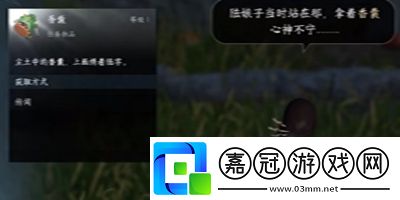 聲聲候歸任務(wù)攻略