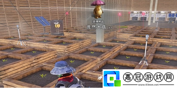 龐然大菇怎么獲得快速刷金幣小竅門