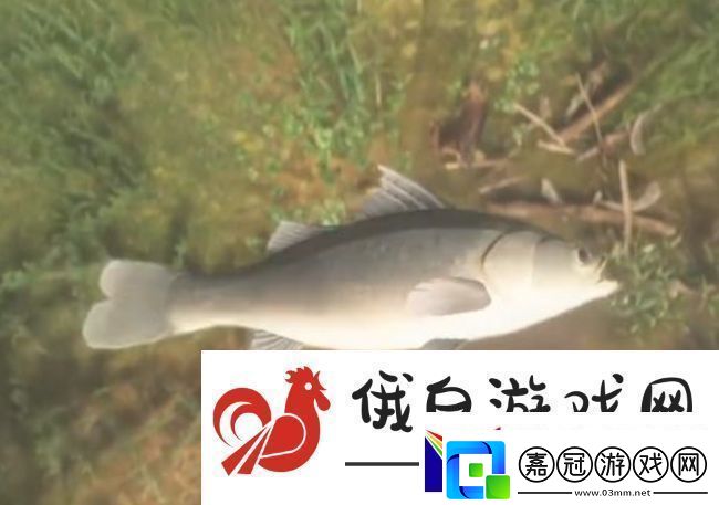 古劍奇譚3鱸魚獲取方法