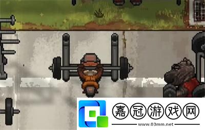 動物迷城收發(fā)室歐文密碼介紹