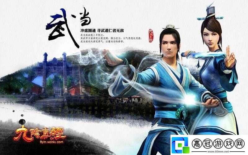 九陰真經3D實錄大片精彩呈現